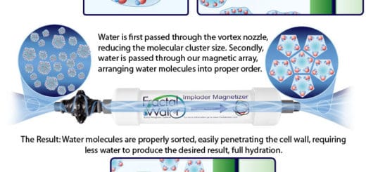 QuantumBalancing Water Implosion Vortexer - Structured Water Device With Quartz & Magnets