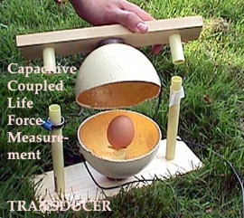 life-force-measurement