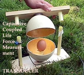 life-force-measurement