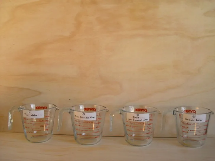 C:UsersPhiDan's plant studiesC. Pak choi & sage - start 26 Sep 20132. photos - only SOME have been AUTOADJUSTED !Photograph 16. Four measuring jugs, one dedicated to each water type.JPG